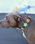 Daisy Dog Jiby - Collar Charm