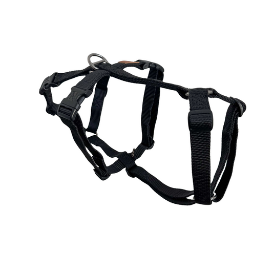 Double H-Harness