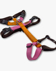 Anti-escape Y-Harness