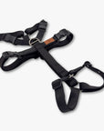 Anti-escape Y-Harness