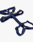 Anti-escape Y-Harness