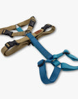 Anti-escape Y-Harness