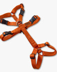 Anti-escape Y-Harness