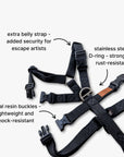 Anti-escape Y-Harness