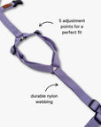 Anti-escape Y-Harness