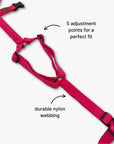 Anti-escape Y-Harness