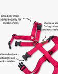 Anti-escape Y-Harness