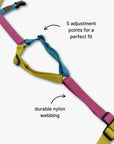 Anti-escape Y-Harness