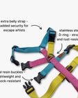 Anti-escape Y-Harness