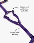 Anti-escape Y-Harness
