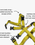 Anti-escape Y-Harness