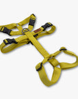Anti-escape Y-Harness