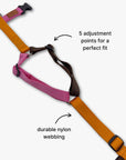 Y-Harness