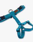 Y-Harness