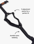 Y-Harness