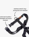 Y-Harness