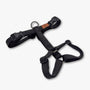 Y-Harness