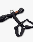 Y-Harness