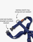 Y-Harness