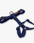 Y-Harness