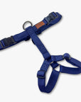Y-Harness