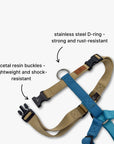 Y-Harness