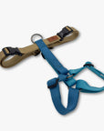 Y-Harness