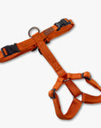 Y-Harness