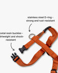 Y-Harness