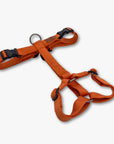 Y-Harness