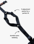 Y-Harness