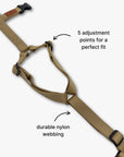 Y-Harness
