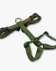 Y-Harness