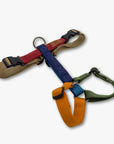 Y-Harness