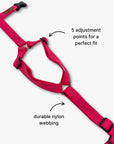 Y-Harness