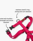 Y-Harness