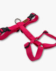 Y-Harness
