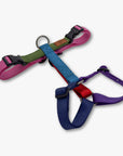 Y-Harness