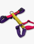 Y-Harness