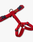 Y-Harness