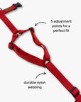 Y-Harness