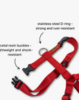 Y-Harness
