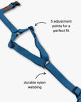 Y-Harness
