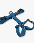 Y-Harness