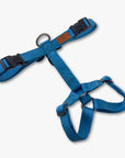 Y-Harness