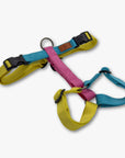 Y-Harness