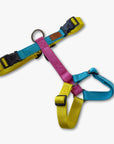 Y-Harness