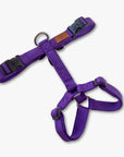 Y-Harness