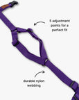 Y-Harness