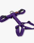 Y-Harness